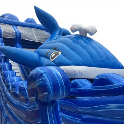 Achat Toboggan Gonflable Aquatique Baleine